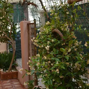 https://bnb-mediterraneo.catania-hotels.net
